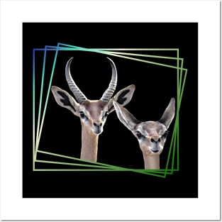 Gerenuk - Gazelle in Kenya / Africa Posters and Art